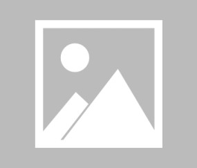 【罗杯】马蹄莲vsCSM 马雷比赛结果：马蹄莲(3-4)CSM 马雷比分战报(2025年08月13日)